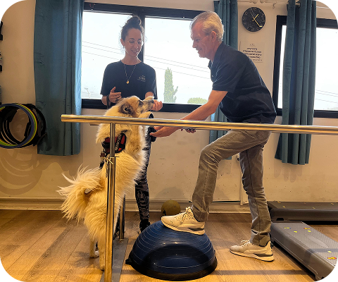 Image gallery marquee