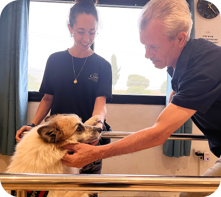 Image gallery marquee