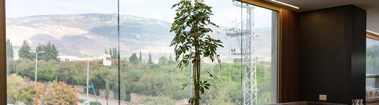 שיקום בראש שקט - השיטה